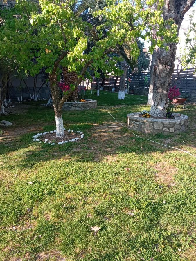 Sofia'S Garden Leilighet Néa Péramos Eksteriør bilde