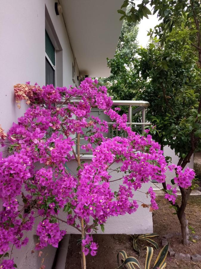 Sofia'S Garden Leilighet Néa Péramos Eksteriør bilde